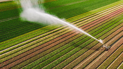 پیشگامان تولید تجهیزات آبیاری