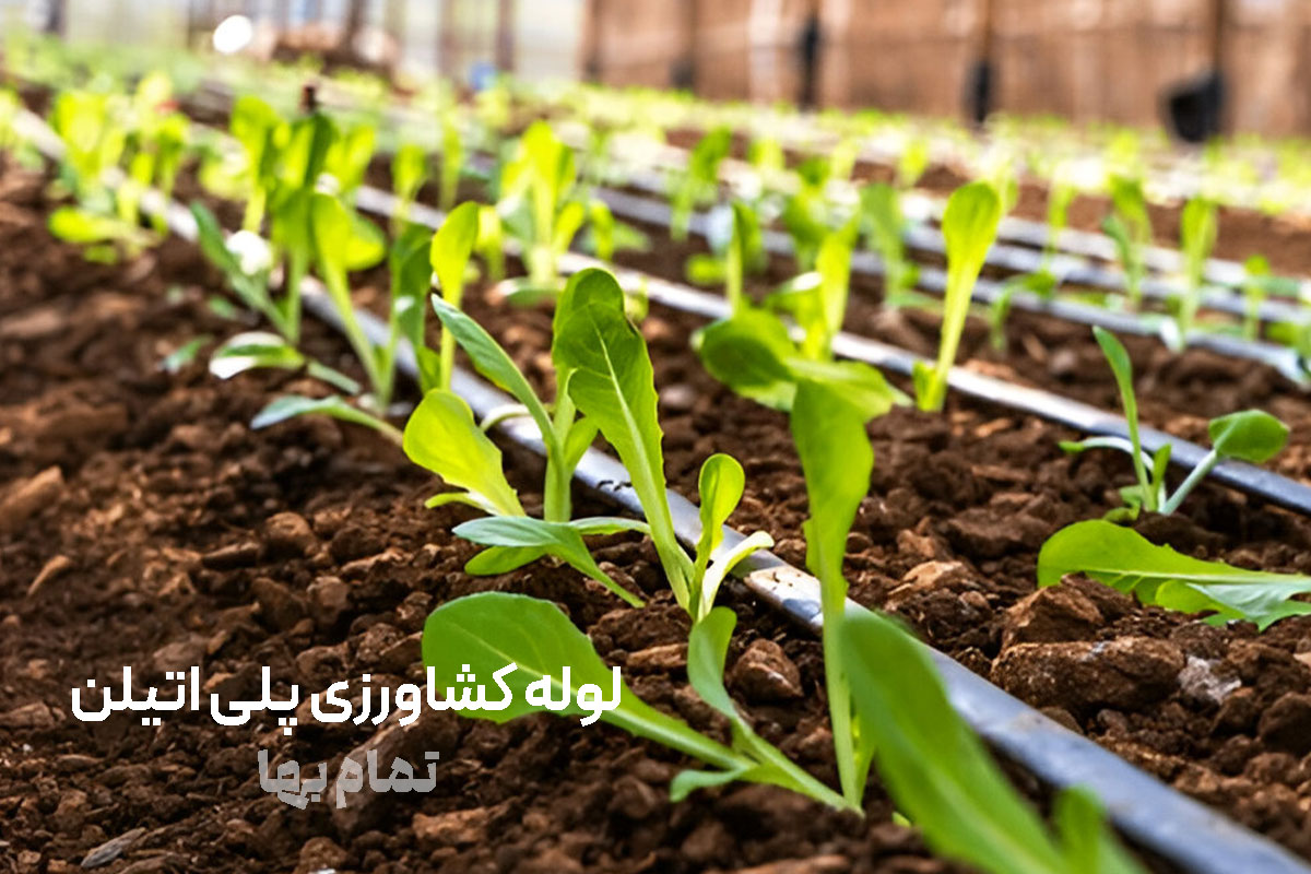 لوله کشاورزی پلی اتیلن