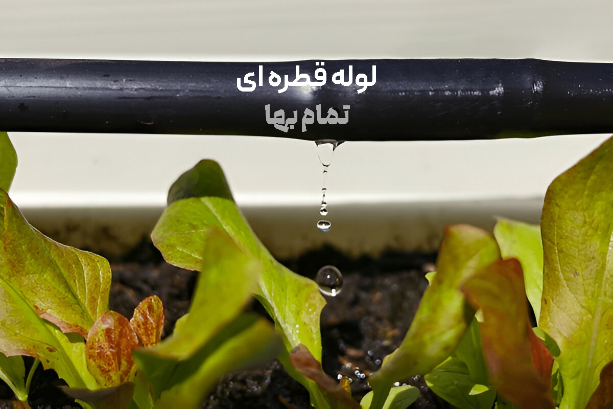 لوله قطره ای